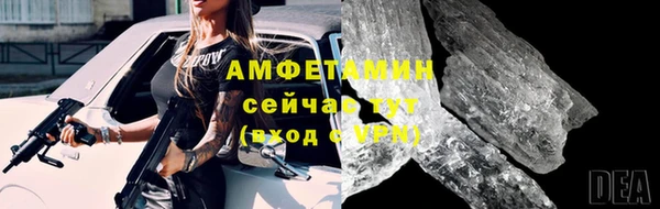 гидра Арсеньев