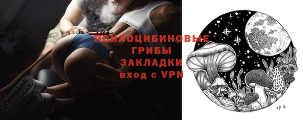 гидра Арсеньев