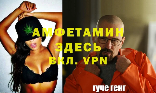 гидра Арсеньев