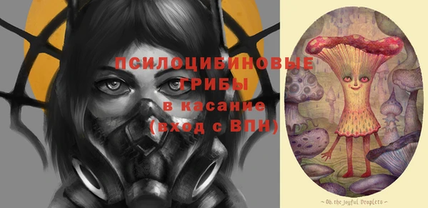 трава Туринск